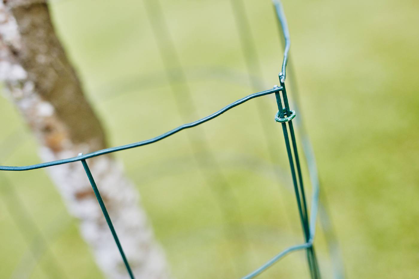 Fence staples. Rapid VR
