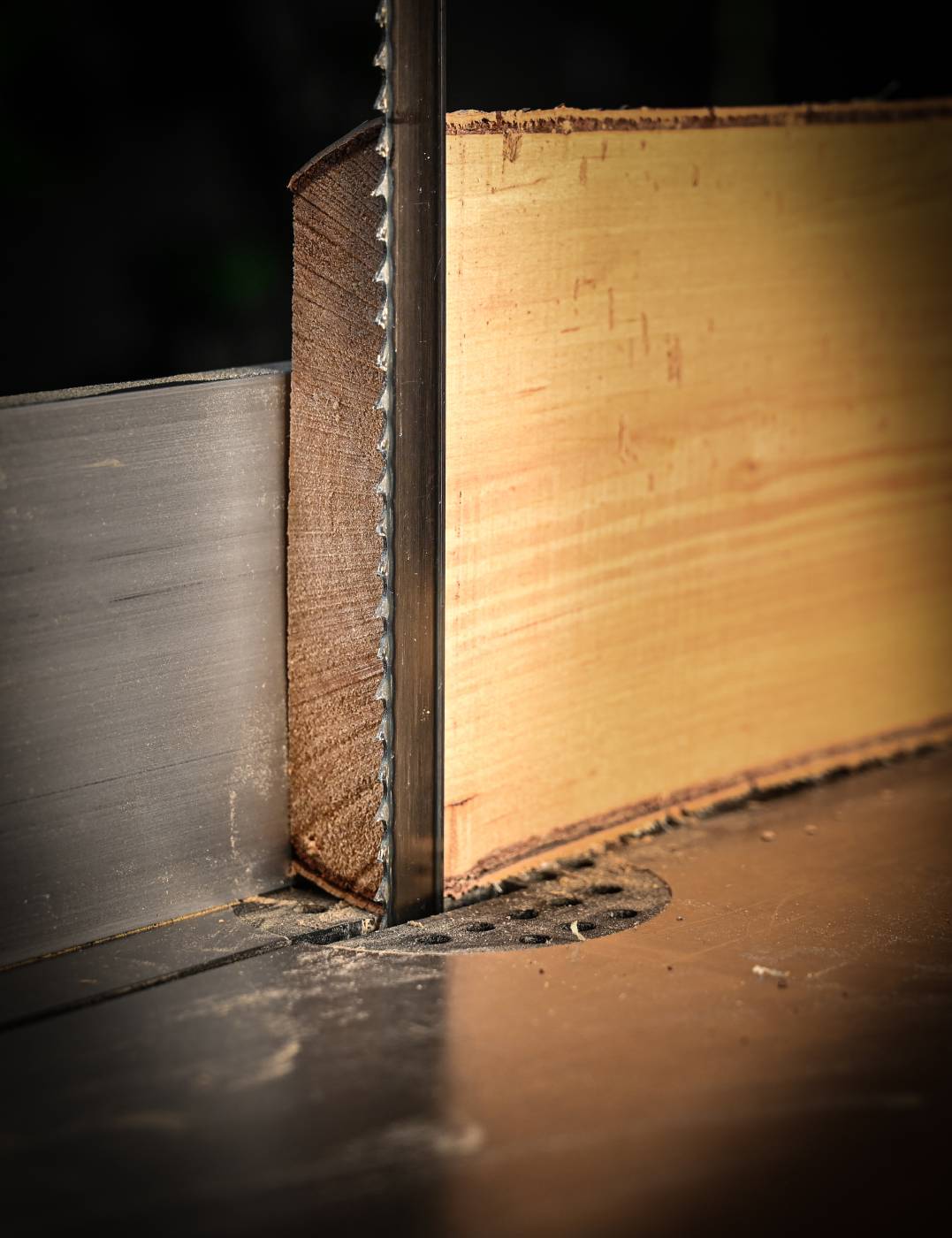 Band saw blade for soft and hard wood. Luna 10 mm