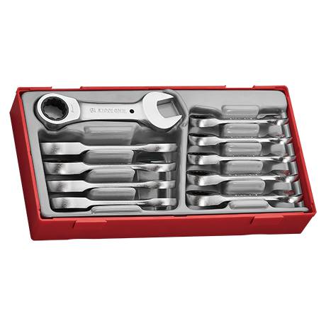 10 pc Ratchet combination spanner set Stubby Teng Tools TT6010MRS