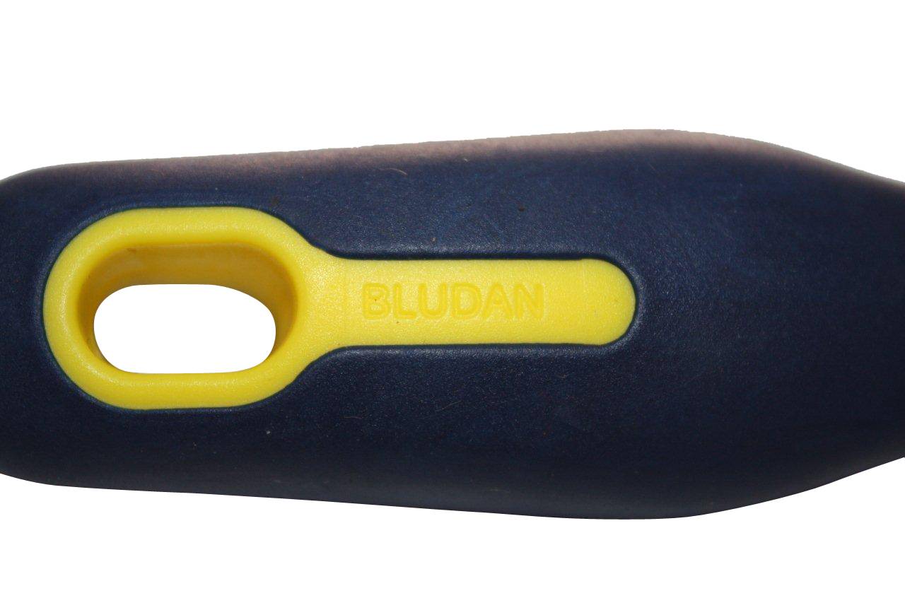 File handle Bludan
