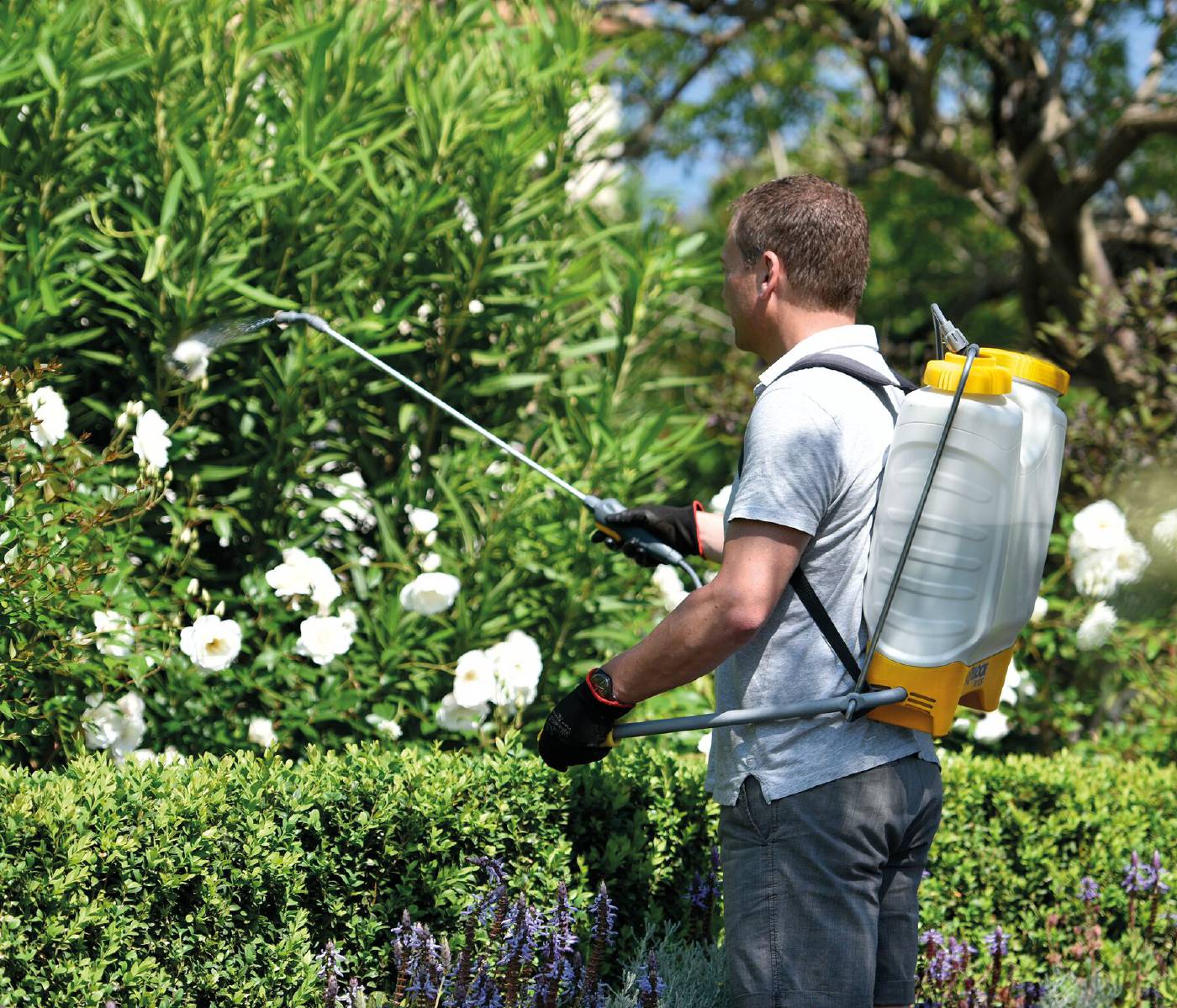 Backpack sprayer Pulsar Plus Comfort 16L Hozelock