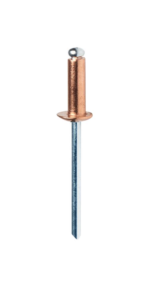 Coppered rivets Rapid