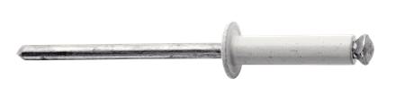 Coloured rivets Rapid
