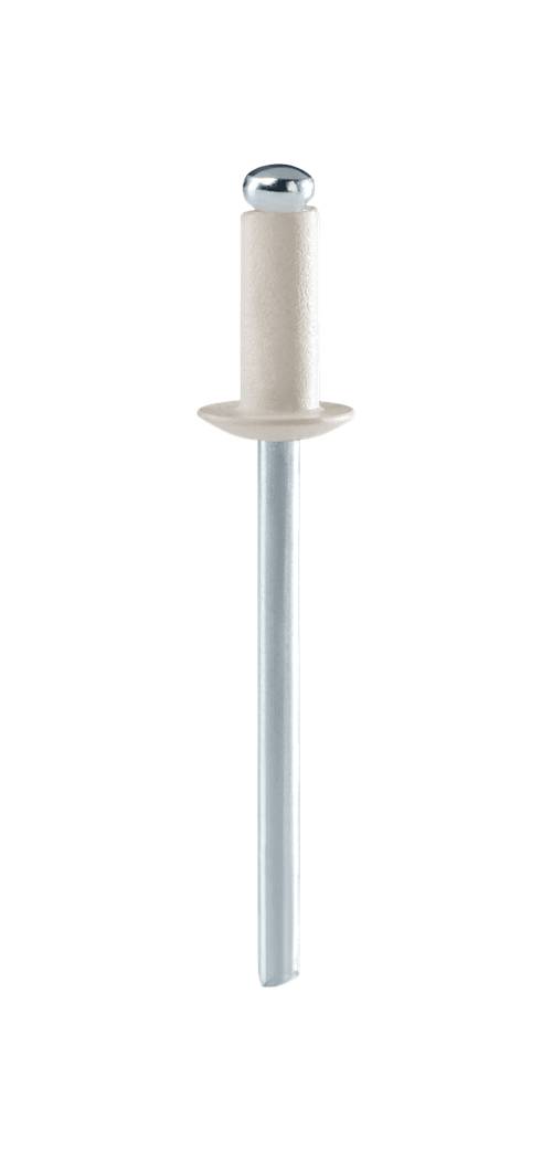 Coloured rivets Rapid