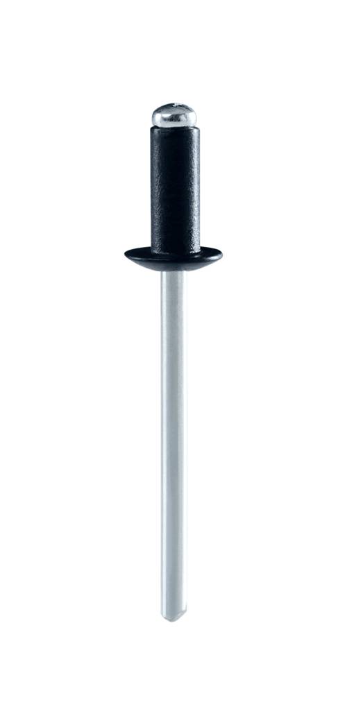 Coloured rivets Rapid