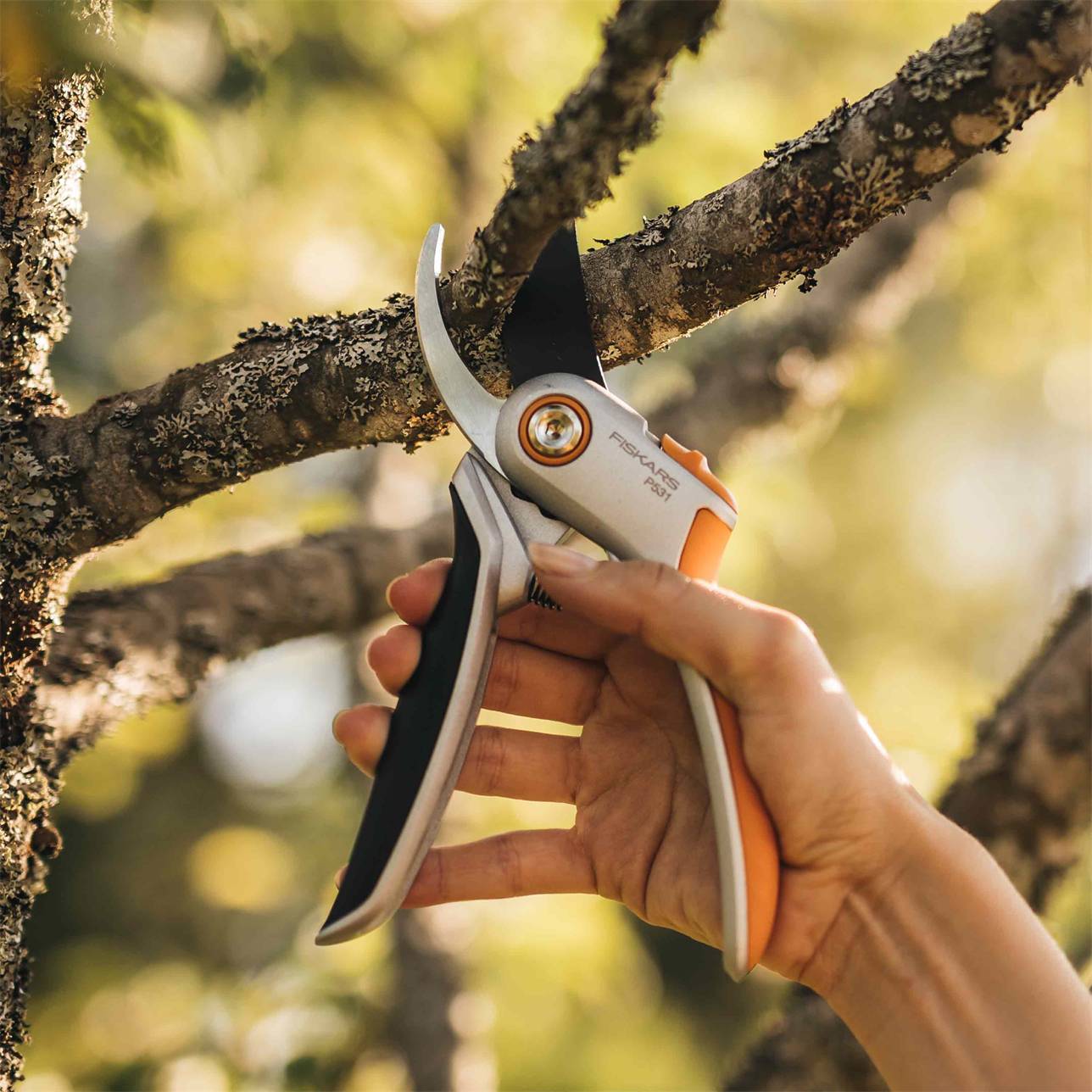 Fiskars Secateurs