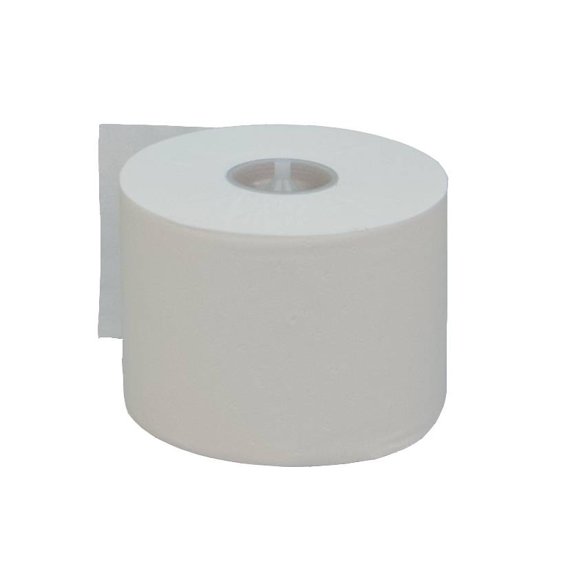 Toilet Paper Katrin Plus System Toilet