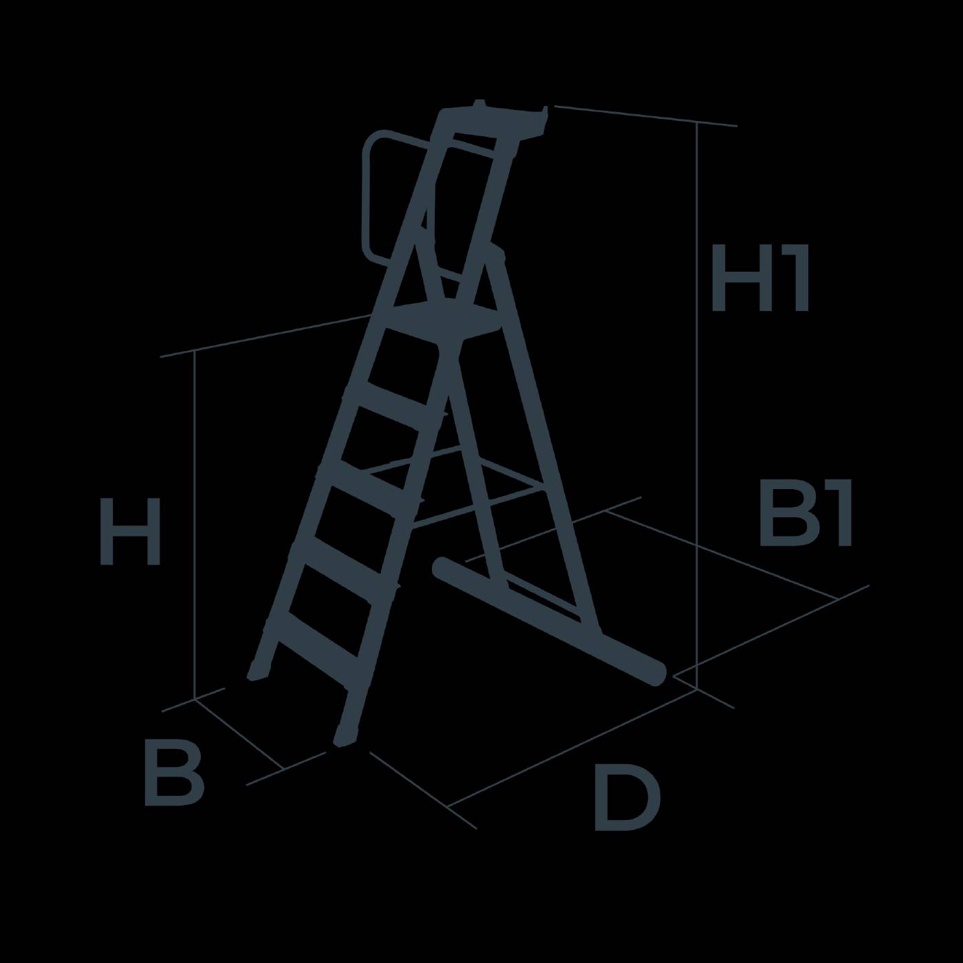 Step Ladder 200P W.steps