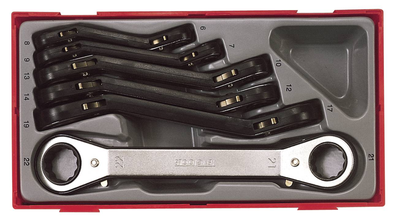 6 pc Ring ratchet spanner set Teng Tools TTRORS