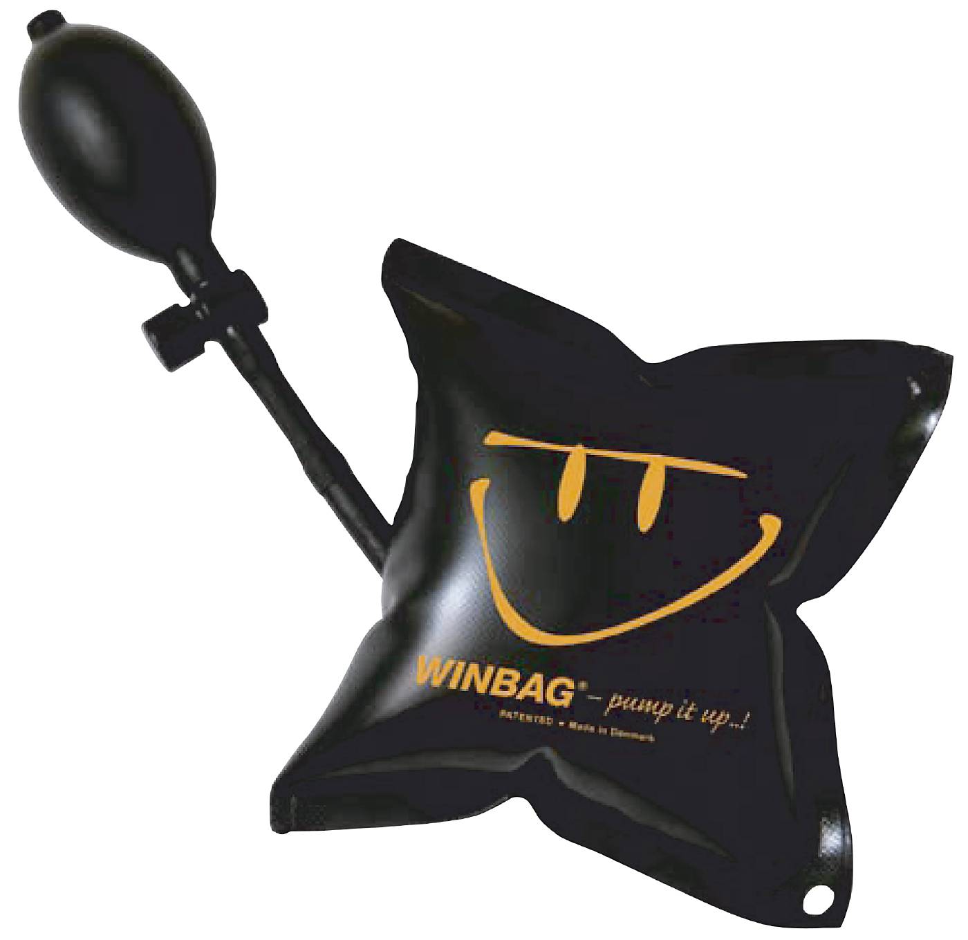 Inflatable bag for window replacement
