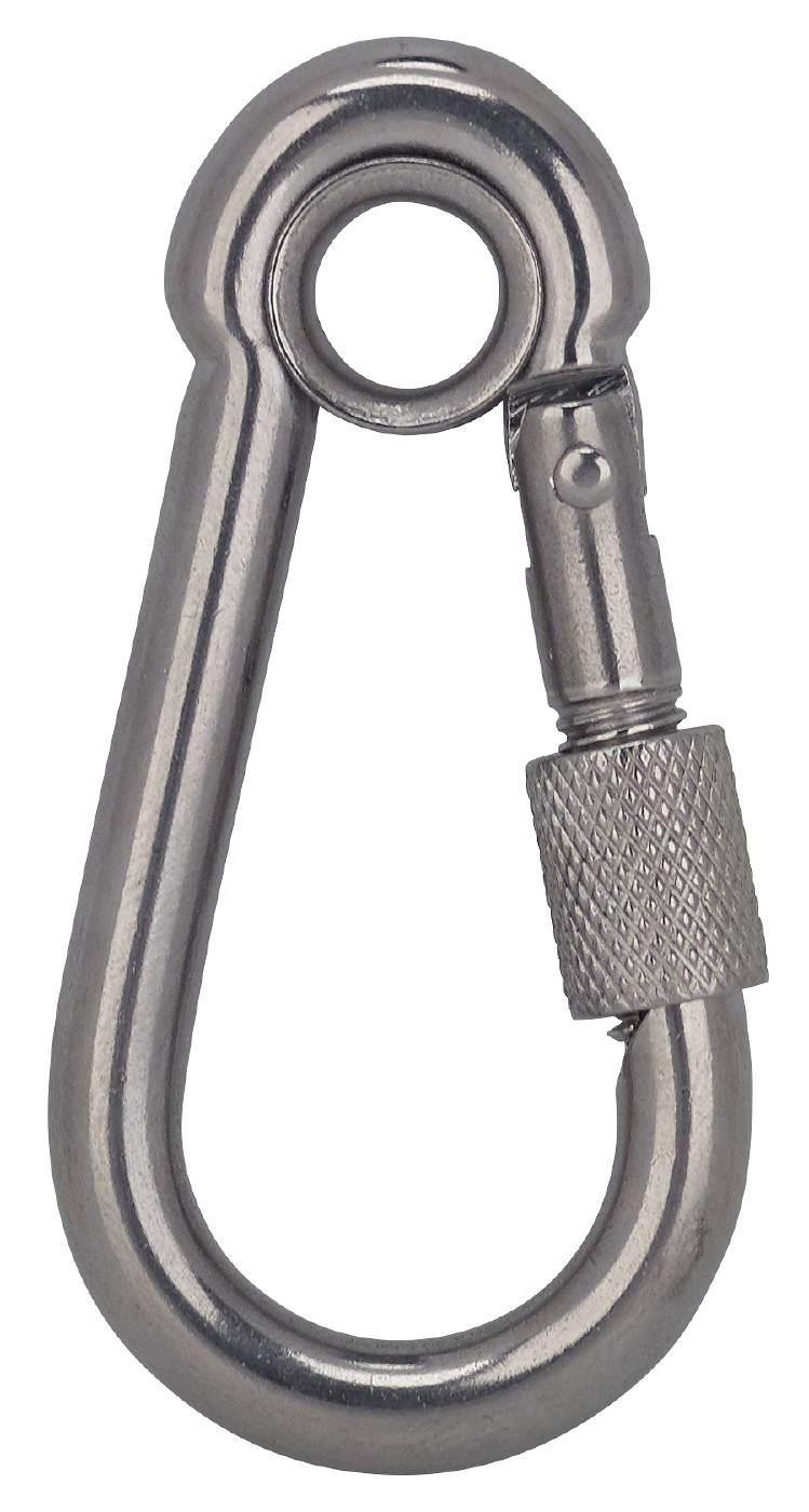 Snap hook with quick-release lock and loop