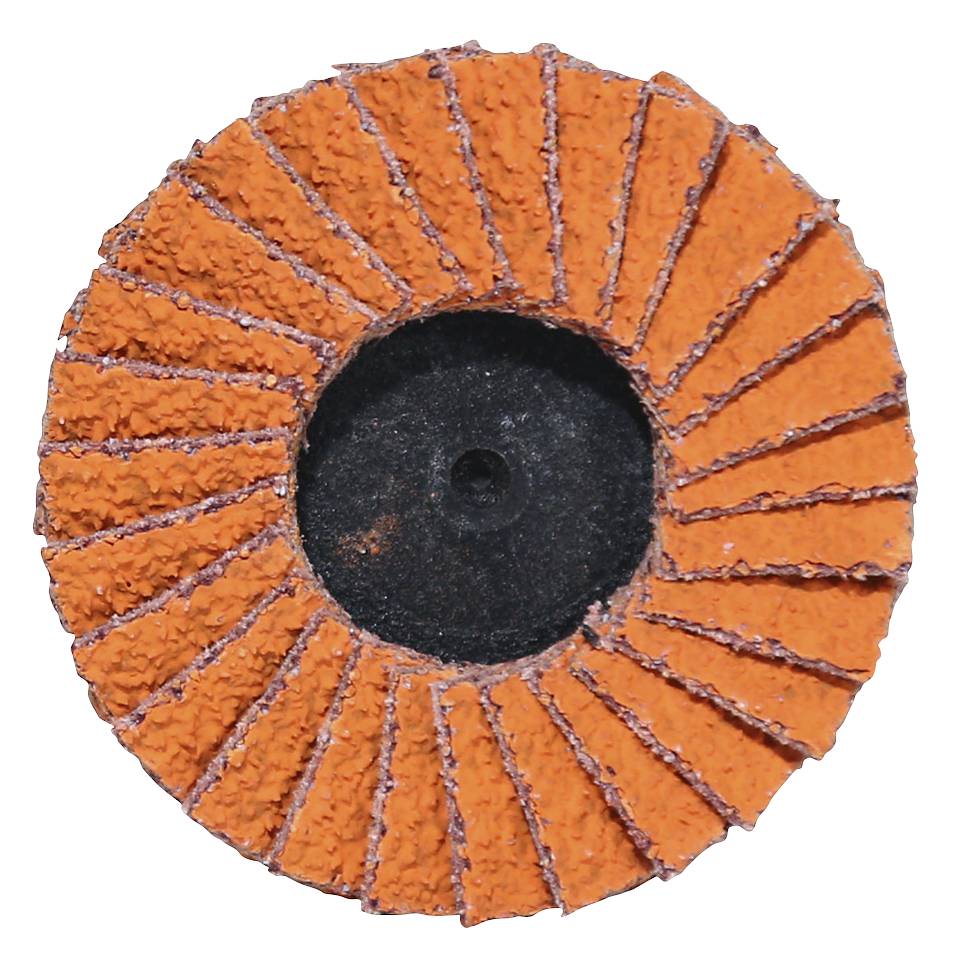 Mini flap discs Norton TR Roloc 50, 75 mm